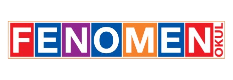 Fenomen Okul